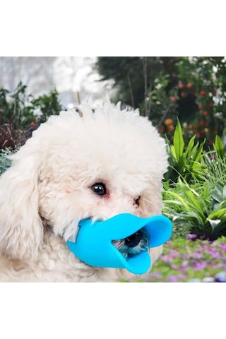 Homyl Küçük Orta Köpekler Için Köpek Ağızlığı M