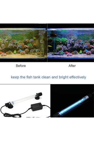 Kangvka Akvaryum Uv Cihazı 5w: Alg Giderici Ve Sterilizasyon Lambası Avrupa Standartı