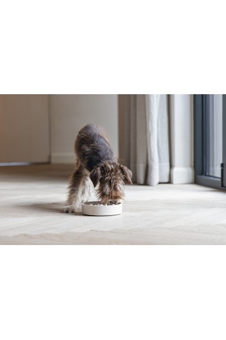 Beeztees Dbl Köpek Yavaş Besleme Mama Kabı, Bambu, Bej, 17cm, 800