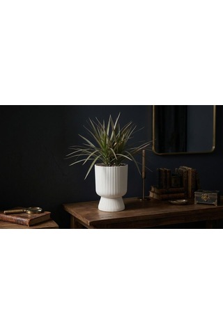 Omnipazar So-ltsa02 Lotus Ayaklı Plastik Vazo Çiçek Saksı 5 Litre No: 2 Beyaz