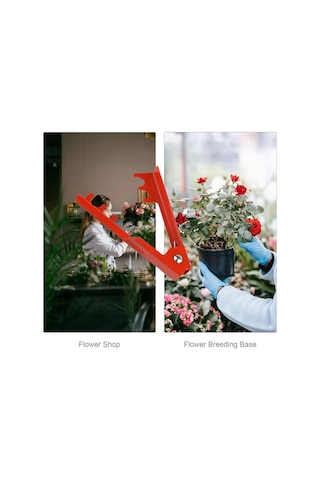 Pazly Pratik Ve Dayanıklı Çelik Gül Diken Soyucu - Tek Elle Kullanım İçin Mükemmel