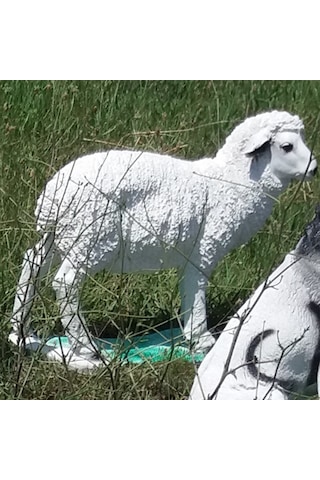 M3 Koyun Kuzu Iç Ve Dış Mekan 50Cm Bahçe Oda Çimenlik Köşe Heykeli Antrasıt - Beyaz