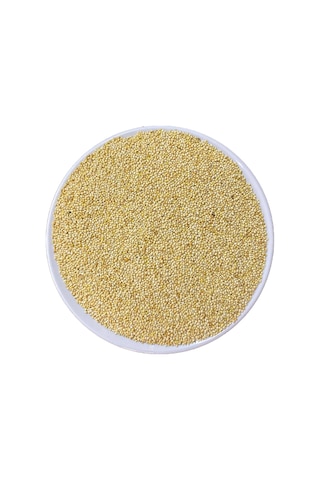 Muhabbet Kuş Yemi Ak Darı Beyaz 10 Kg