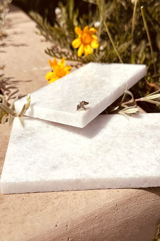 Eagle Kartal Kuş Model Şık Altın Renk Piercing Tragus Helix Çelik Stainless Steel Altın