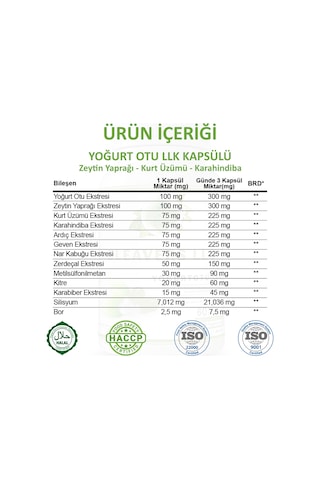 Gökçek Şifa Yoğurt Otu LLK (Cleavers Llc Capsule) 60 Kapsül