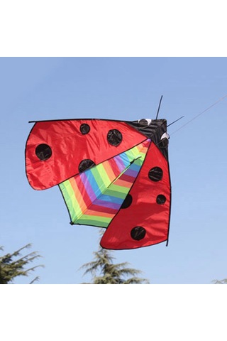 Suntek Delta Kite Fly Uçurtma Spor Bahçesi Için Büyük Kanat