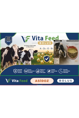 Vitafeed Asidoz Buffer Bolus 100 Gr 12 Adet