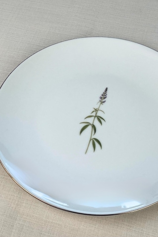 Tabak Evi Porselen Natura Karma Altın Yaldız Servis Tabağı 24,50cm 6 Lı Çok Renkli