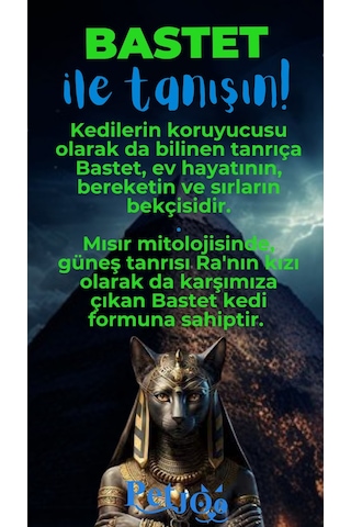 Petjoo 1.Bastet Mavi-Yeşil Qr'lı Kedi Künyesi