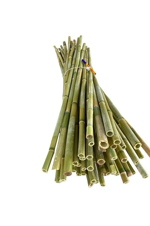 5 Adet 100 Cm Bambu Bitki Destek Çubuğu - Doğal - Kalın Ve Dayanıklı