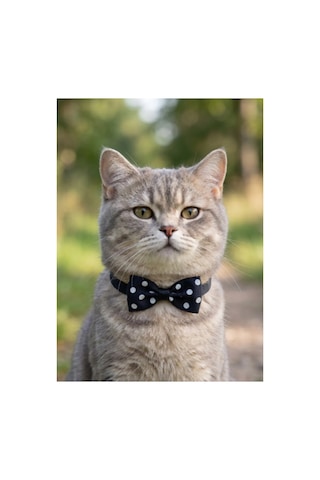 Kedi Papyon Tasma Lacivert