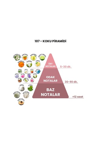 BEX 107 Erkek Parfüm EDP 50 ML