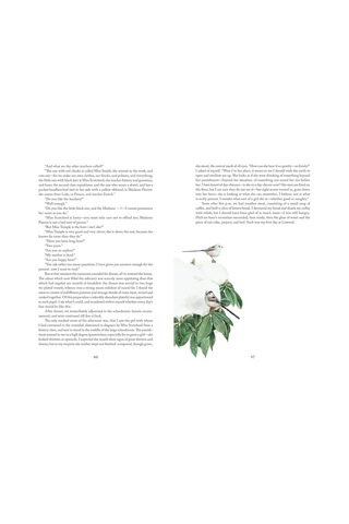 Jane Eyre: Illustrations By Marjolein Bastin
