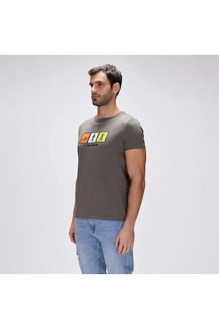Bad Bear Erkek Tişört Entree Çok Renkli