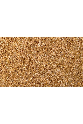 Kabakçıoğlu Tane Sarı Haşhaş 1 KG Kabakçıoğlu Tane Sarı Haşhaş 1 KG
