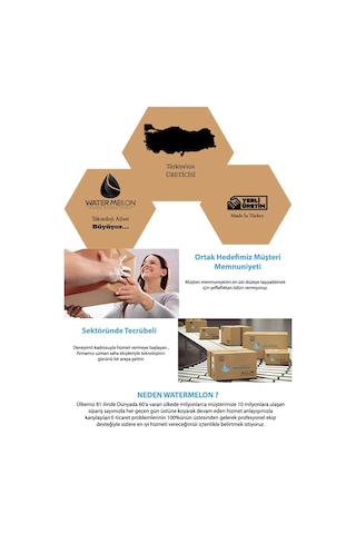 Trtank Pro 100 Litre Dikey Ayaklı Nsf Membranlı Hidrofor Tankı