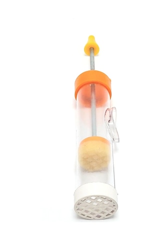 Ana Arı İşaretleme Tüpü