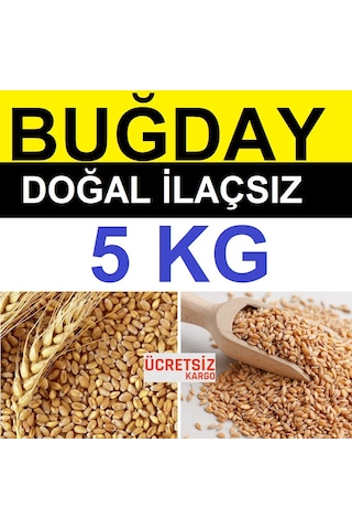 Buğday 5 Kg Yemlik Buğday Tavuk Yemi Güvercin Yemi Kanatlı Yemi Buğday 5 Kg Yemlik Buğday Tavuk Yemi Güvercin Yemi Kanatlı Yemi