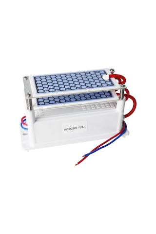 Taşınabilir Seramik Ozon Jeneratörü İki Yapraklı Hava Temizleme Cihazı Sterilizasyon Aktif Oksijen Arıtma Cihazı 220v 10g