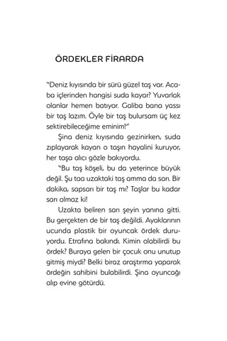 Ördekler Firarda
