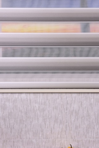 Gri-krem Pliseli Etek Dilimsiz Ds 10658-v9 Zebra Stor Güneşlik Perde