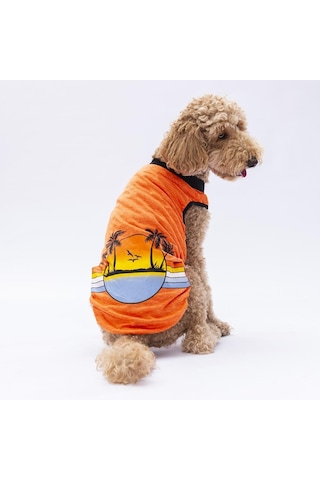 Turuncu Sunrise Büyük Köpek Tişörtü - Köpek Kıyafeti 15 Kg-45 Kg