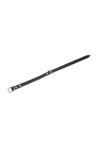 Deri Evcil Hayvan Boyun Tasması, 27 Cm-10 Mm, Siyah Çok Renkli