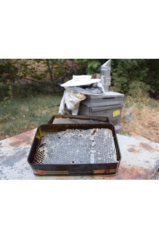 Şehri Şemdinli Petek Bal 1 KG