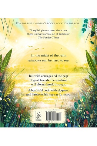Rain Before Rainbows