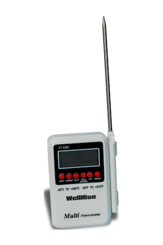 Wellhise ST-9283 Daldirma Tipi Termometre Profesyonel Gıda