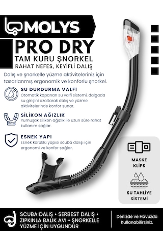 Molys Angel Dalış Maskesi + Antı Fog Buğu Önleyici Film + Pro Full Dry Tam Kuru Şnorkel + Maske Koruma Kutusu Set Halinde Siyah - Siyah