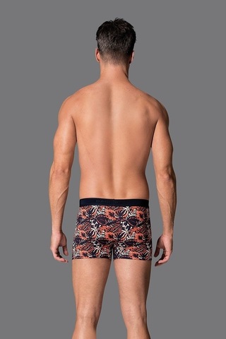 Eros 019 Erkek Compact Yaprak Boxer Çok Renkli