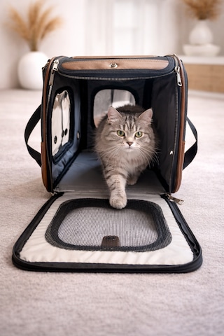 Şeffaf Pencereli Nefes Alabilir Kedi Taşıma Çantası Siyah