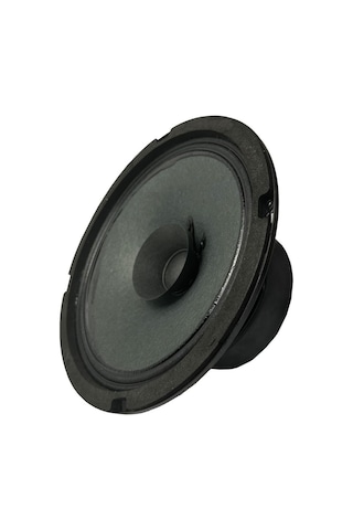Lastvoice Ayn-6 Full Kağıt 100 Watt 8 Ohm 16 Cm 6 İnç Hoparlör Adet