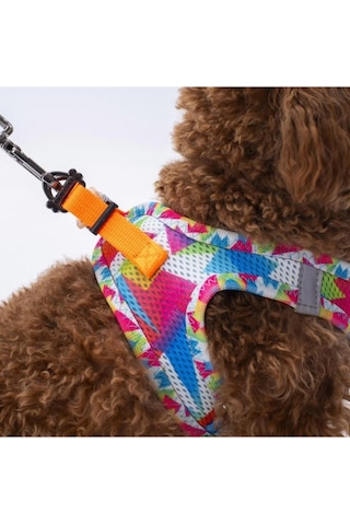 Pawstar Air Mesh Harness Göğüs Tasması A26 Mosaic Large Mavi