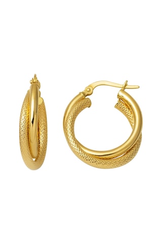 Bilezikci Balık Sırtı İtalyan 14 Ayar Altın Halka Küpe DLM4266