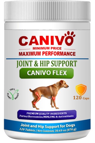 Canivo Flex Eklem Ve Kalça Destekleyici