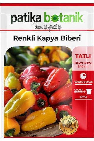 75 Adet Yerli Ata Renkli Kapya Biber Tohumu