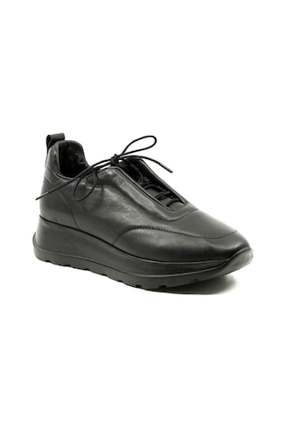 Dexter Tp22126-61 Çok Renkli