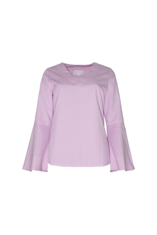 Bulalgiy Kadın Pembe Çizgili Kolu Volan Bluz - Bga103926-pembe