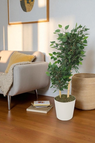 Yapay Ficus Benjamin Ağacı Dolgun Yeşil Yapraklı, Ev Ve Ofis Dekorasyonuna Uygun, Bambu Gövdeli Yeşil