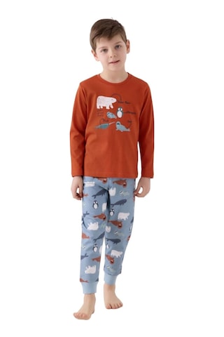 Roly Poly 2'li Takım 3422 Kiremit