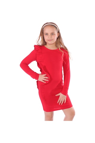 Toontoy Kız Çocuk Regular Fit Bisiklet Yaka Uzun Kollu Fırfırlı Elbise Kırmızı