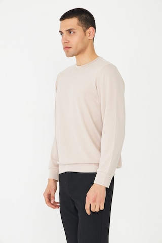White Stone Bej Basic Bisiklet Yaka Erkek Sweatshirt Taş