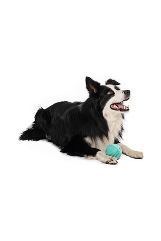 M-pets Vice Versa Et Aromalı Top Köpek Oyuncağı 8,38 Cm 244-50100.01