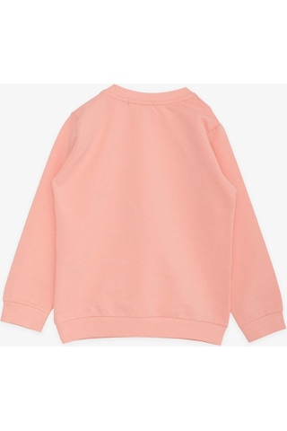 Breeze Kız Çocuk Sweatshirt Tavşancık Baskılı 1.5-5 Yaş, Somon-somon Somon