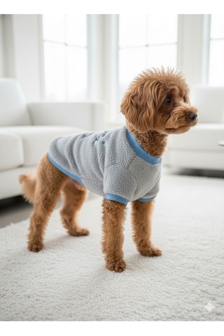 Kedi - Köpek İşlemeli Welsoft Kışlık Sweat - Kıyafet