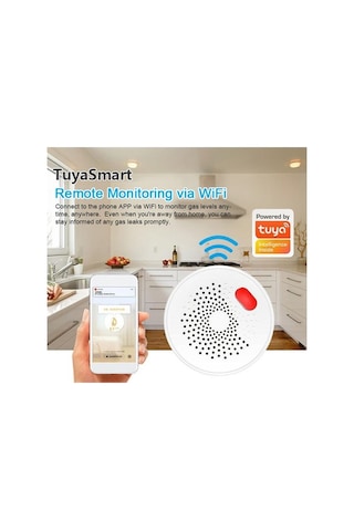 Supermarket1 Tuya Wifi Doğal Gaz Dedektörü: Tak-çalıştır Yanıcı Gaz Alarmı, Metan, Propan, Bütan, Lpg, Lng Algılama