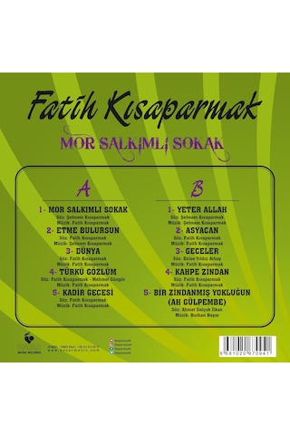 Fatih Kısaparmak - Mor Salkımlı Sokak Plak