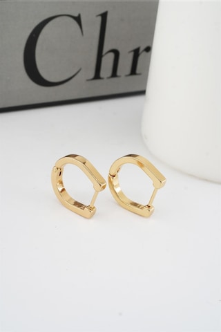 Kadın 316 L Paslanmaz Çelik 1.8 Cm Oval Model Küpe